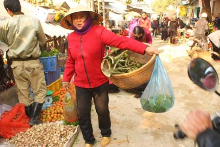 Không khí chợ quê ngày Tết tấp nập