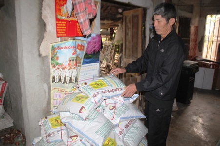 Ông Chu Văn Thơng - xóm trưởng xóm 5, xã Diễn Trường chưa dám phát lúa giống cho bà con