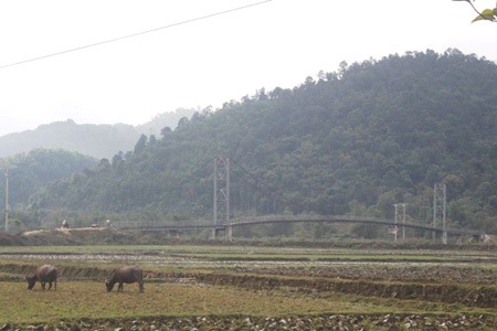 Một chiếc cầu treo tại xã Môn Sơn, huyện Anh Sơn (Nghệ An)