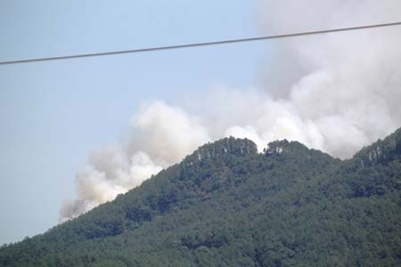 Vụ cháy rừng thứ hai cách khu di tích mộ bà Hoàng Thị Loan khoảng hơn 1km