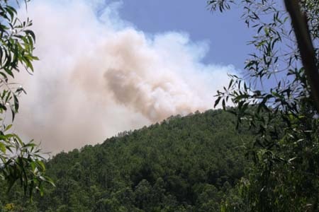Hai vụ cháy rừng liên tiếp xảy ra trong buổi sáng 4/6 tại xã Nam Lĩnh, huyện Nam Đàn (Nghệ An)