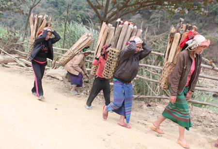 Gần 90 hộ dân di cư trái phép sang Lào - 1 Gần 90 hộ dân di cư trái phép sang Lào