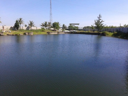 Đám tang đẫm nước mắt của 3 nam sinh đuối nước trong chùa - 1 Hồ nước trong chùa Phong Phạn - nơi xảy ra vụ đuối nước khiến 3 em học sinh tử nạn