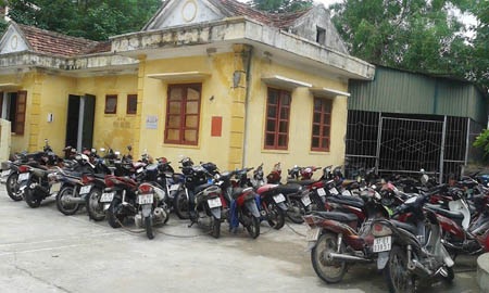 Bắt giữ 94 đối tượng tham gia sới bạc đá gà - 1 Tang vật 54 chiếc xe máy của các đối tượng tham gia sới bạc bằng hình thức đá gà