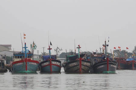 “Gói ghém” tài sản, di tản dân trước giờ bão đổ bộ - 17 Hơn 4.000 tàu thuyền Nghệ An vào bờ tránh bão số 3 an toàn trong chiều ngày 16/9