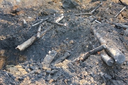 Liên tiếp đánh sập các lò than “thổ phỉ” tại “điểm nóng” Hạ Long - 10