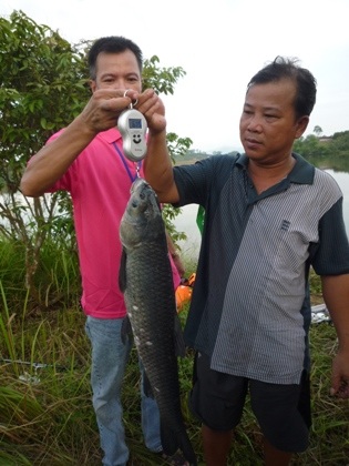 Theo chân các “cần thủ” lên núi săn cá hồ Bầu Lầy - 9