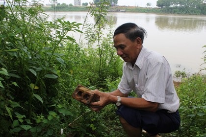 Di tích nghìn tuổi kêu cứu trước nạn “cát tặc”  - 8