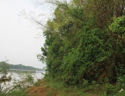 Di tích nghìn tuổi kêu cứu trước nạn “cát tặc”  - 4