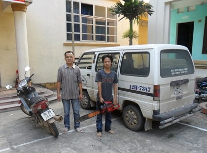 Nhiều “sưa tặc” liên tiếp sa lưới - 1