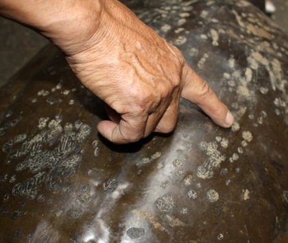 Bắt được ba ba khổng lồ dưới chân cầu Chương Dương - 7 Bắt được ba ba khổng lồ dưới chân cầu Chương Dương - 7