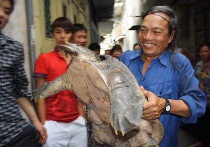 Bắt được ba ba khổng lồ dưới chân cầu Chương Dương - 1 Bắt được ba ba khổng lồ dưới chân cầu Chương Dương - 1