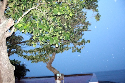 Dừng các hoạt động trên biển, khẩn cấp di dời dân tránh bão - 3