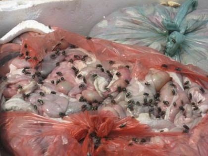 Bắt 2 xe ô tô tuồn nầm “bẩn” vào nội địa - 1