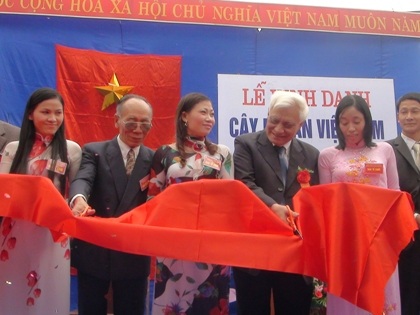 Vinh danh “đại lão” thị hơn 500 tuổi là Cây di sản Việt Nam - 4