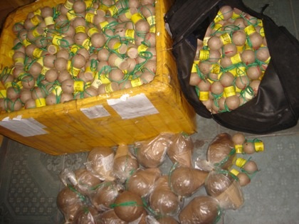 “Đón lõng” đường dây tuồn pháo nổ vào nội địa dịp tết - 2