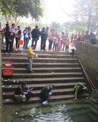 3 “ông cá thần” đền Giếng “ngạt thở” bởi... tiền lẻ - 4