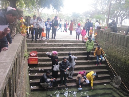 3 “ông cá thần” đền Giếng “ngạt thở” bởi... tiền lẻ - 1