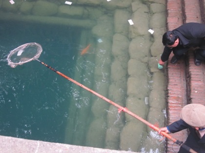 3 “ông cá thần” đền Giếng “ngạt thở” bởi... tiền lẻ - 7