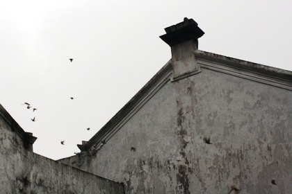 Chủ tịch nước cùng kiều bào thả cá chép tiễn ông Táo về trời - 6