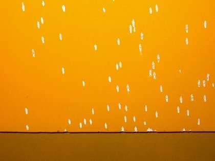 Xả súng kinh hoàng tại quán karaoke - 2