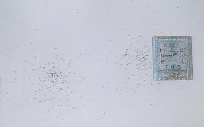 Một nhà dân bị nã đạn liên tiếp trong đêm - 2