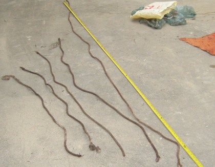 Trộm trâu, mang ra ngay sau nhà chủ mổ thịt - 2