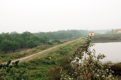 Đề nghị hủy án, xử lại vụ cưỡng chế đầm tôm - 1