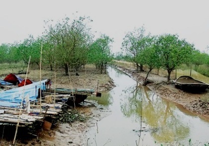 Đề nghị hủy án, xử lại vụ cưỡng chế đầm tôm - 2