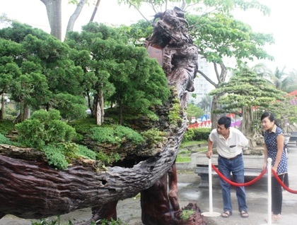 Ngắm đội sinh vật cảnh “khủng” tại Carnaval Hạ Long