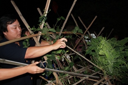 Nửa đêm kéo nhau đi xem cây bí hình rồng