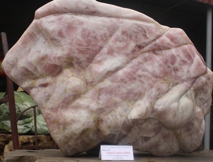 Ngắm đội sinh vật cảnh “khủng” tại Carnaval Hạ Long