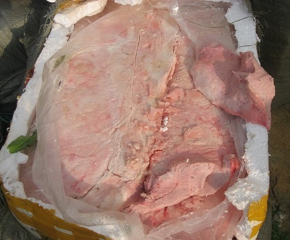 Liên tiếp bắt giữ nội tạng “bẩn”, gà nhập lậu tuồn vào nội địa