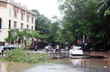Quảng Ninh, Hải Phòng an toàn sau cơn bão số 5 - 2 Bão số 5 chỉ gây mưa lớn và gãy đổ một số cây xanh tại TP Hải Phòng.