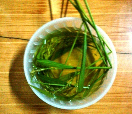 Rộn rã tết “mừng lúa mới” vùng cao - 1 Bát canh lúa là món quan trọng nhất trong mâm cỗ mừng lúa mới của đồng bào vùng cao.