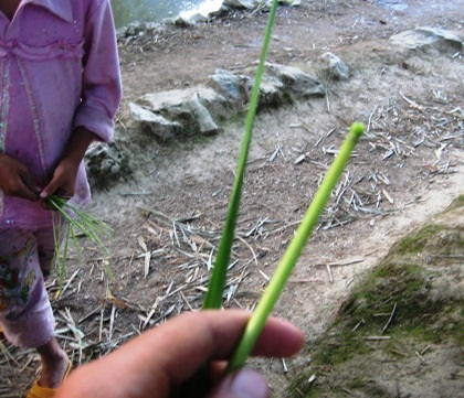 Những chiếc khèn bằng cọng rơm và vỏ măng 