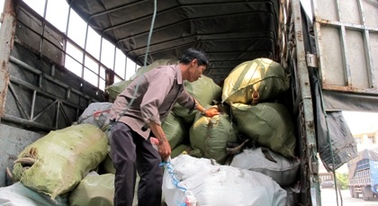 Hơn 12 tấn sừng bò bị cơ quan chức năng bắt giữ.