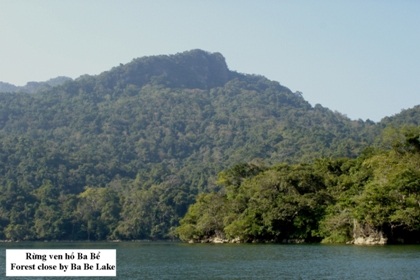 Hồ Ba Bể được công nhận là di tích lịch sử quốc gia đặc biệt - 3 Hệ sinh thái hồ Ba Bể hết sức phong phú, đa dạng.