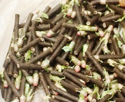 Dùng tàu cá “ngụy trang” nửa tạ thuốc nổ đưa qua Vịnh Cát Bà - 2 50kg thuốc nổ cùng các phụ kiện lắp ráp bị tuồn hụt vào đất Cảng