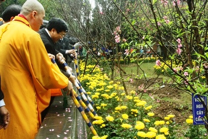 Các vị đại biểu trông hoa anh đào do 