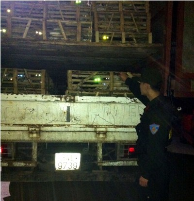 Xe chở hàng tấn mèo bị bắt giữ tại Quảng Ninh.