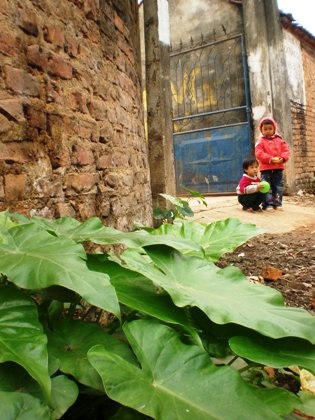Ngóng những gánh hàng rong qua làng.