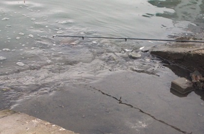 Nhiều người chọn mua cá và hiếu kỳ xem cá khủng.