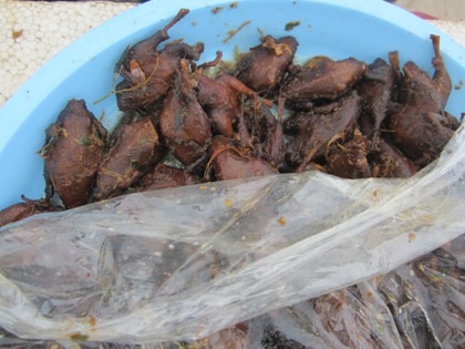 Hàng trăm con chim sẻ trá hình được rán sẵn trong túi nilon.