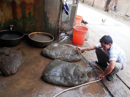 Trung bình cứ khoảng 10kg cóc sống sẽ chế biến được 1kg ruốc cóc.