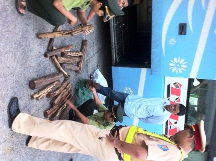 Số tang vật gỗ sưa bị bắt giữ.