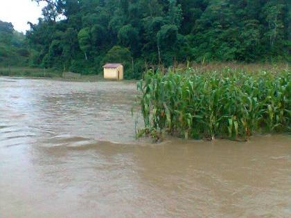 Mưa lũ tàn phá nặng nề các tỉnh miền núi phía Bắc - 2 Mưa lũ gây thiệt hại cả người và của.