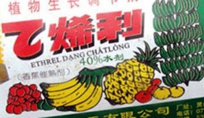 Phát hiện 1.500 ống thuốc thúc chín giấu lẫn cùng hàng nghìn chai thuốc trừ sâu - 1 Phát hiện 1.500 ống thuốc thúc chín giấu lẫn cùng hàng nghìn chai thuốc trừ sâu