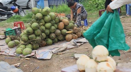 Thực phẩm bẩn tràn lan, nhiều địa phương chưa mặn mà vào cuộc.