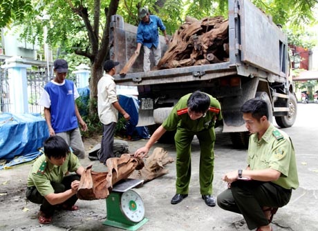 Buôn hơn 5 tấn gỗ Ngọc Am, "trùm gỗ" bị bắt - 1 C